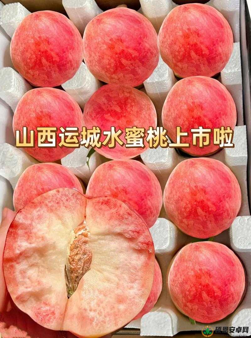 水蜜桃 8844 独特魅力尽显风采